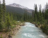 IMG_0355