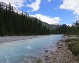 IMG_0368