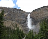 IMG_0381