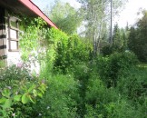 IMG_0400