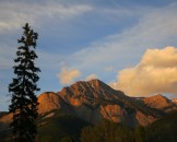 IMG_0402