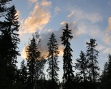IMG_0405