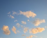 IMG_0410
