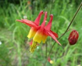 IMG_0419