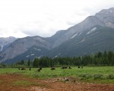 IMG_0425