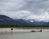 IMG_0440