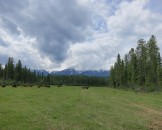 IMG_0443