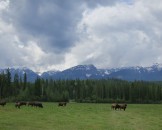 IMG_0444