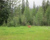 IMG_0465