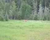 IMG_0467