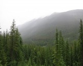 IMG_0468