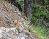 IMG_0500