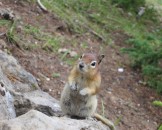IMG_0501