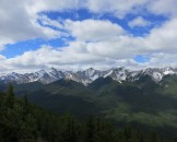 IMG_0513