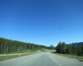 IMG_0548