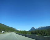 IMG_0551