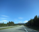 IMG_0558