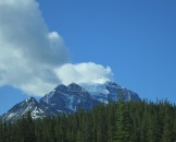 IMG_0559