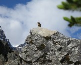 IMG_0619