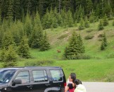 IMG_0646