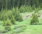 IMG_0647