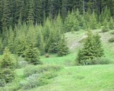 IMG_0649