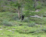 IMG_0679