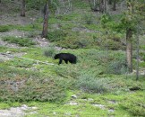 IMG_0680