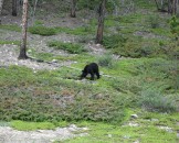 IMG_0681
