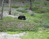 IMG_0682