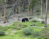 IMG_0684