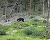 IMG_0685