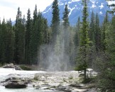 IMG_0686