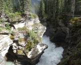IMG_0698