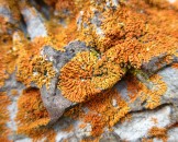 IMG_0751