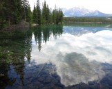 IMG_0787
