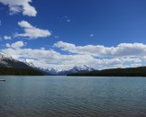 IMG_0791