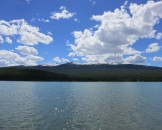 IMG_0806