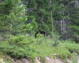 IMG_0827