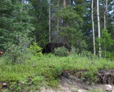 IMG_0829
