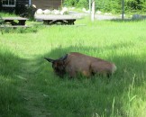 IMG_0836