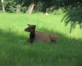 IMG_0839