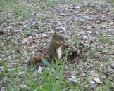 IMG_0871