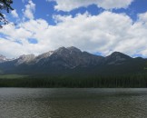 IMG_0910