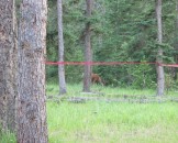 IMG_0933