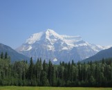 IMG_0945