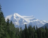 IMG_0948