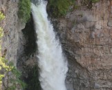 IMG_0964