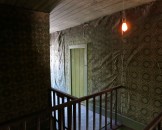 IMG_1013