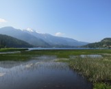 IMG_1119
